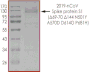 Product Element Image